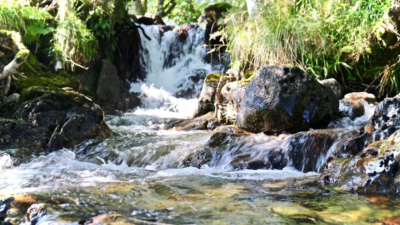 Photo of Outdoor in Fort William