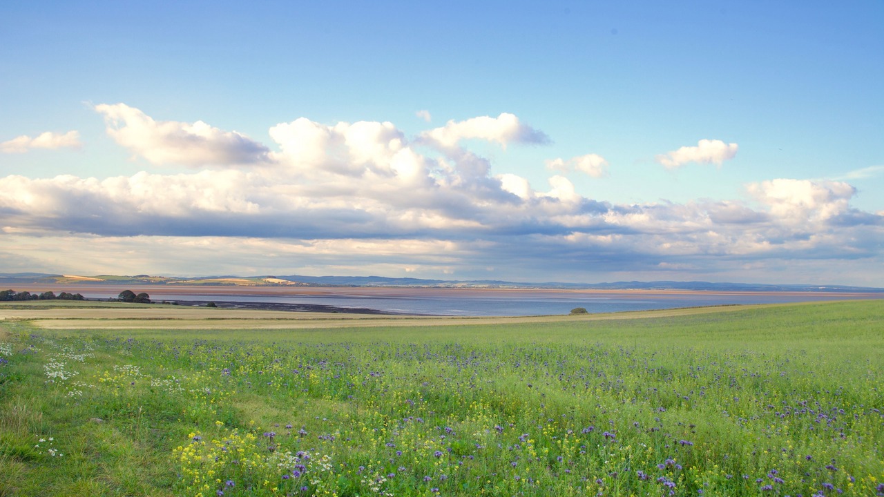 Photo of Outdoor in Carsethorn