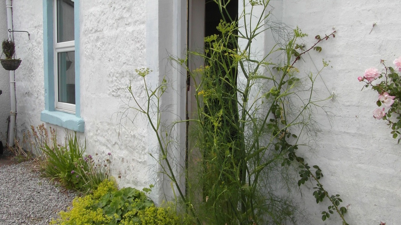 Photo of Outdoor in Carsethorn