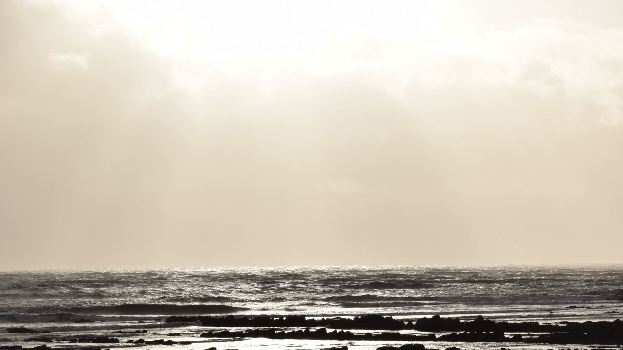 Photo of Others in Carsethorn
