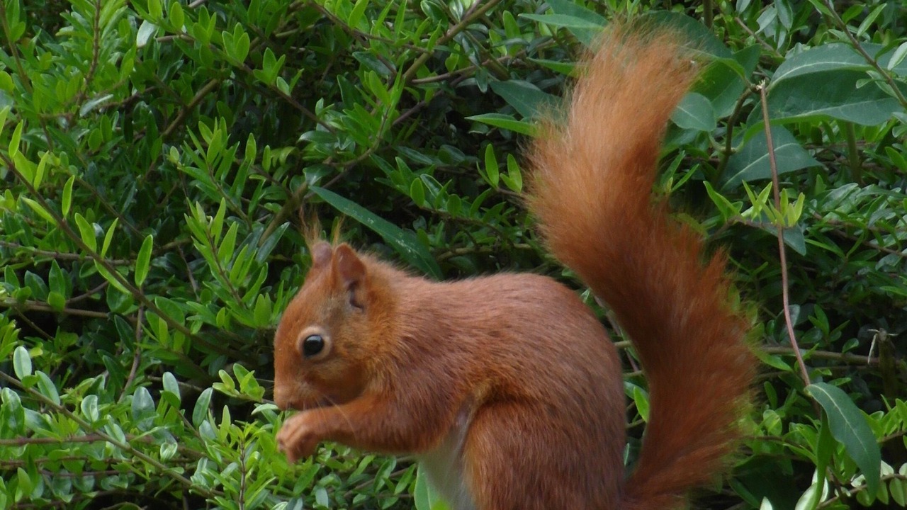 Photo of Outdoor in Kirkbean