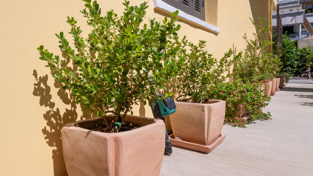 Photo of Outdoor in Kalamata