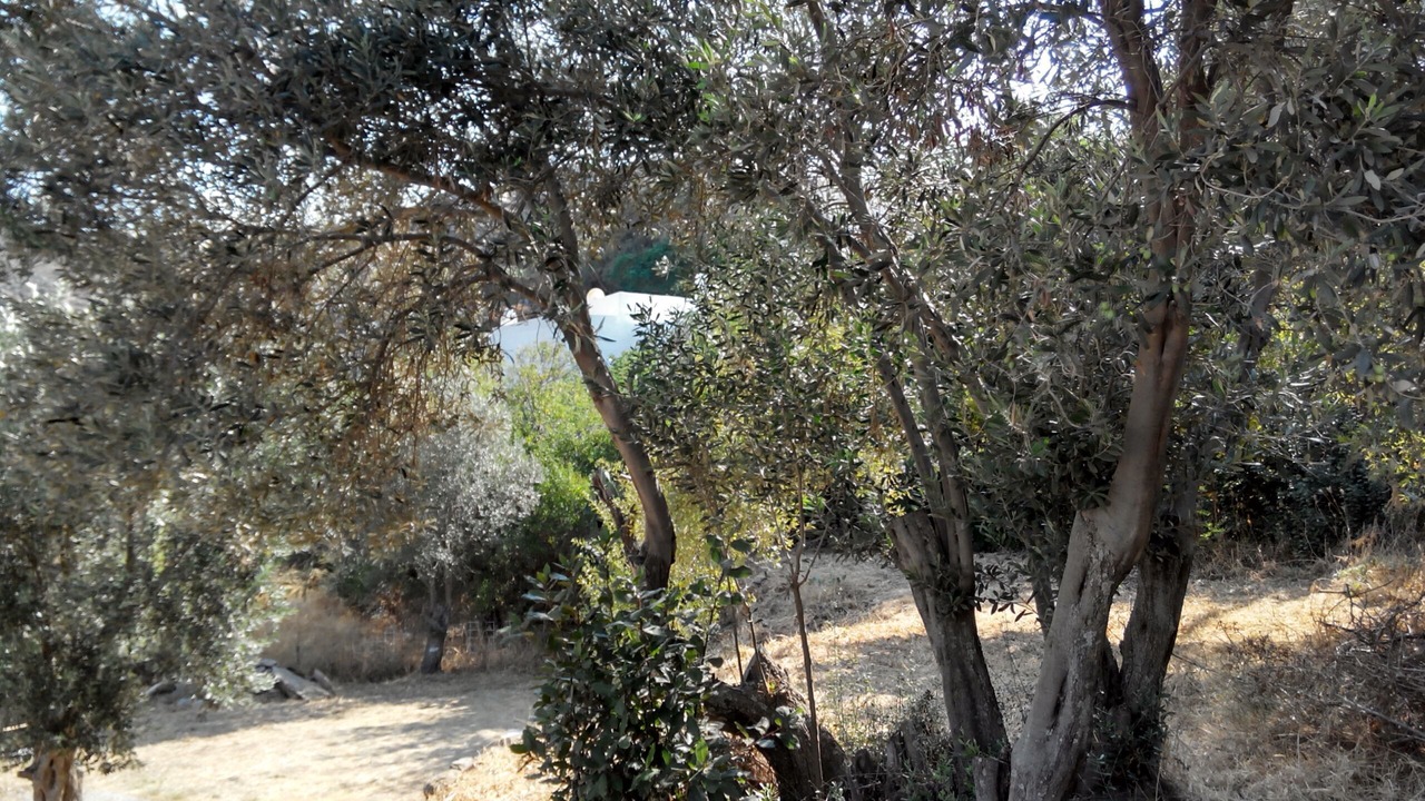 Photo of Others in Megas Yialos-Nites