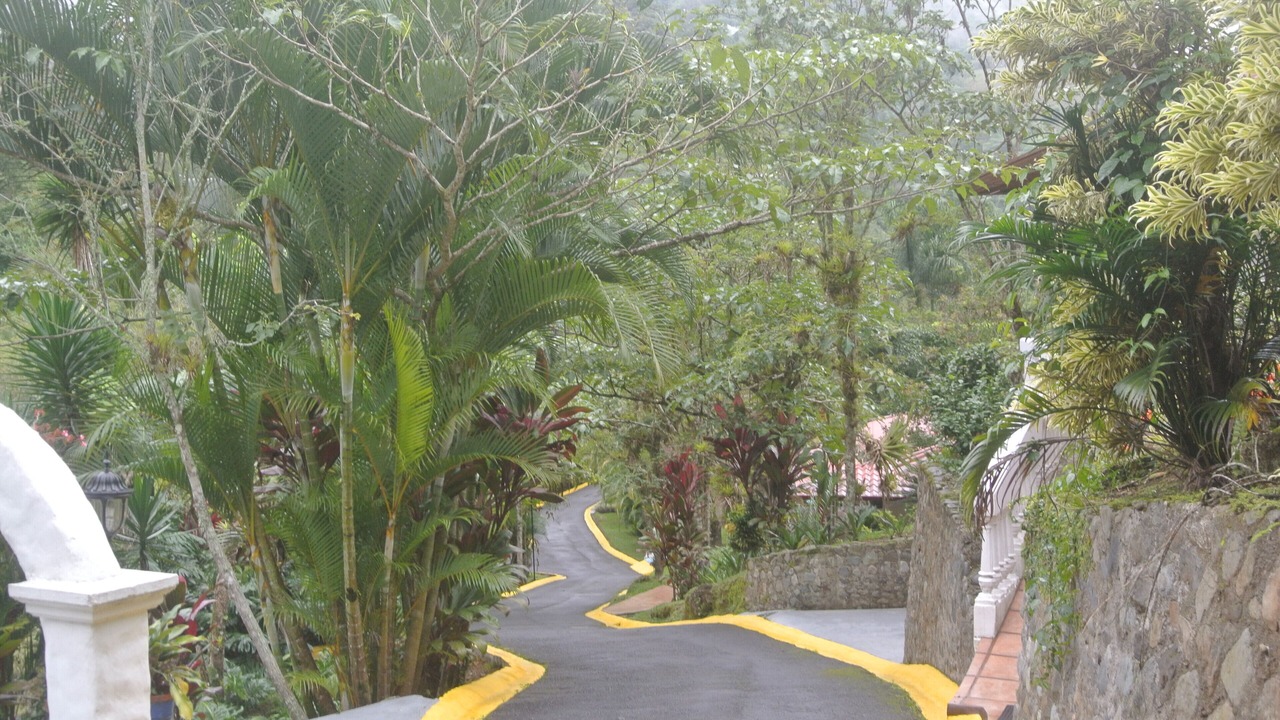 Photo of Outdoor in Orosi