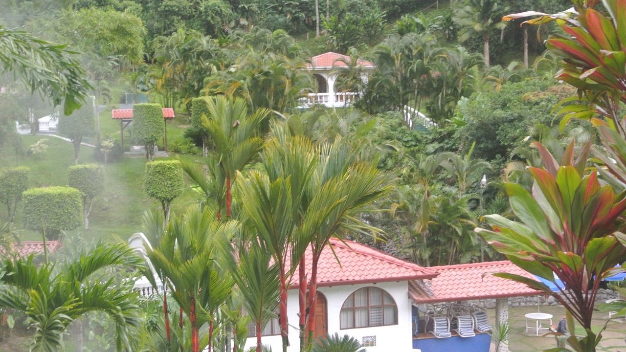 Photo of Outdoor in Orosi
