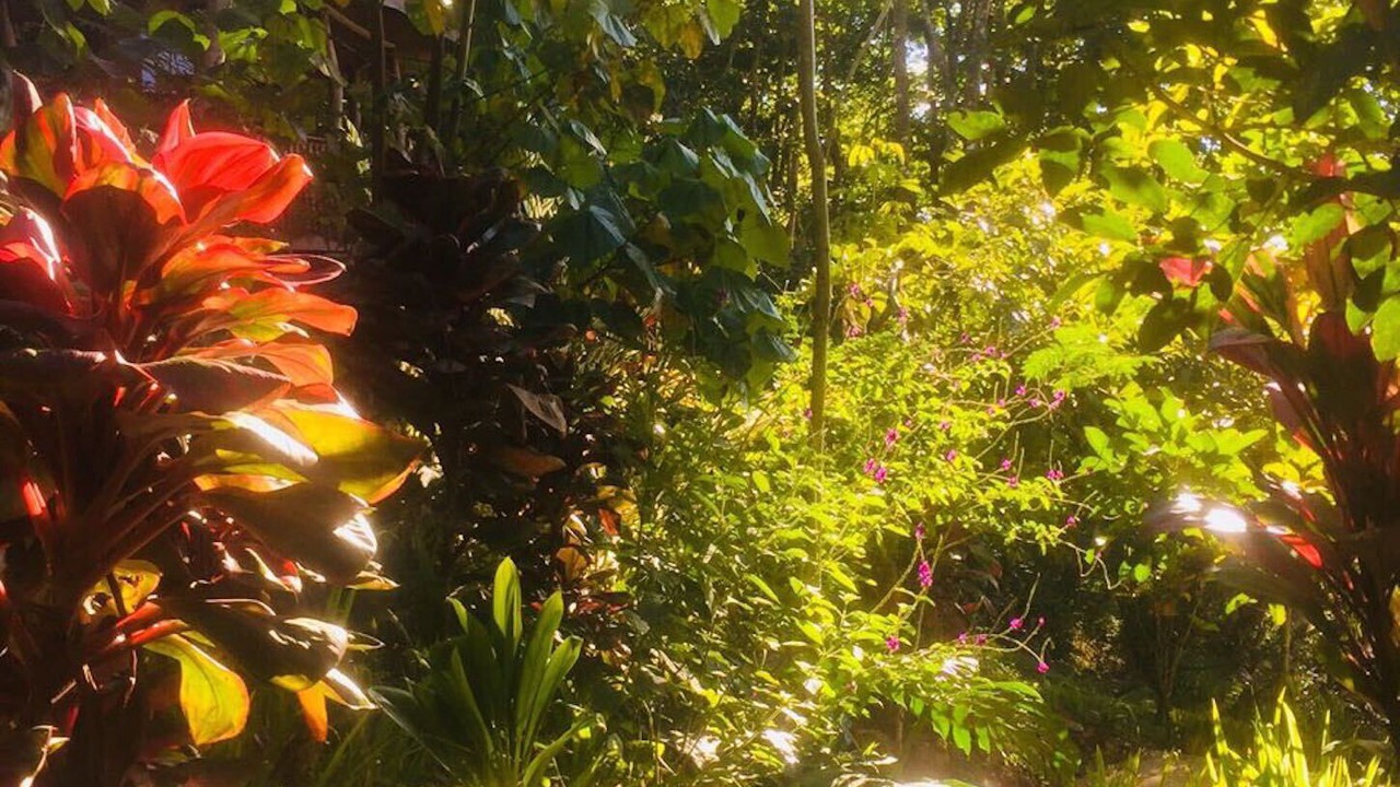Photo of Outdoor in San Isidro de El General