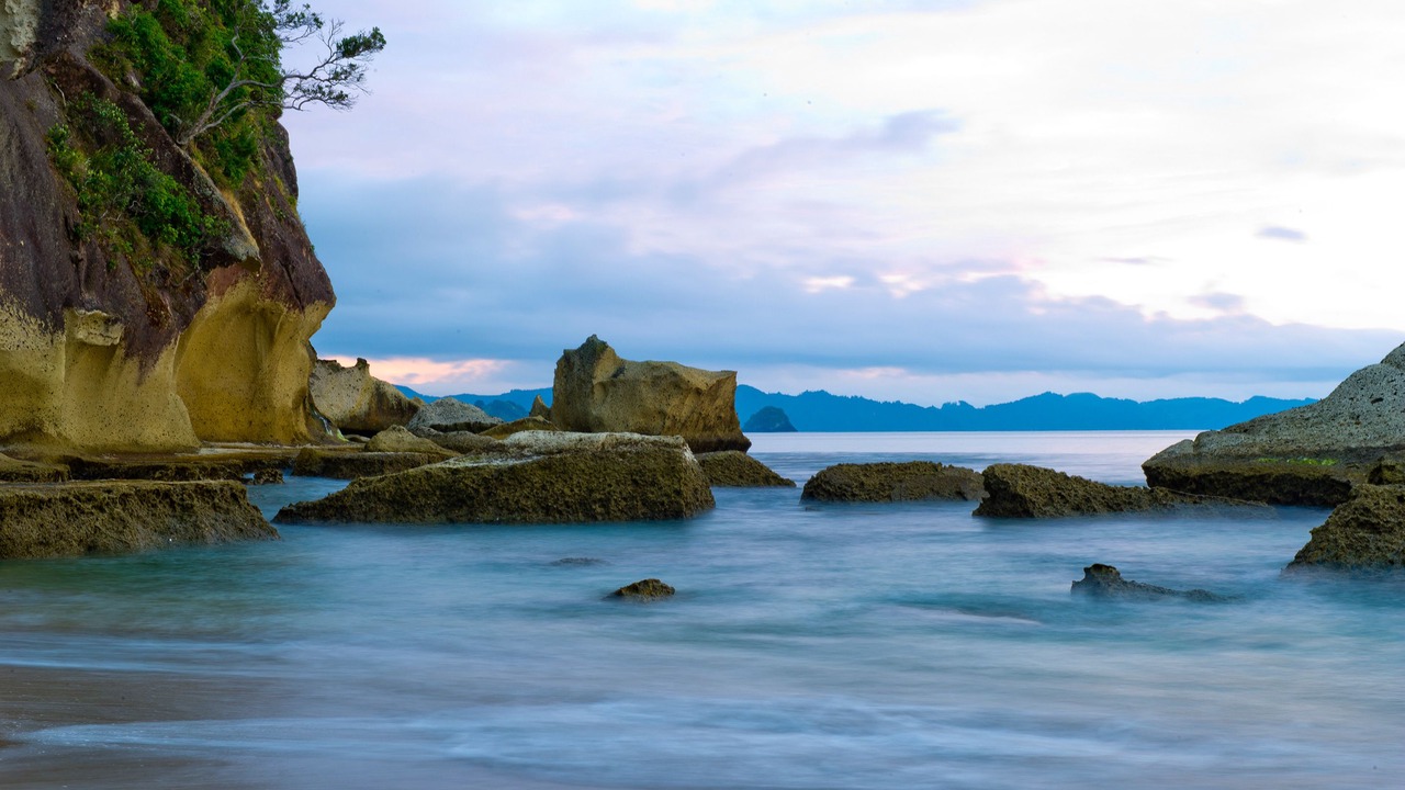 Photo of Others in Cooks Beach