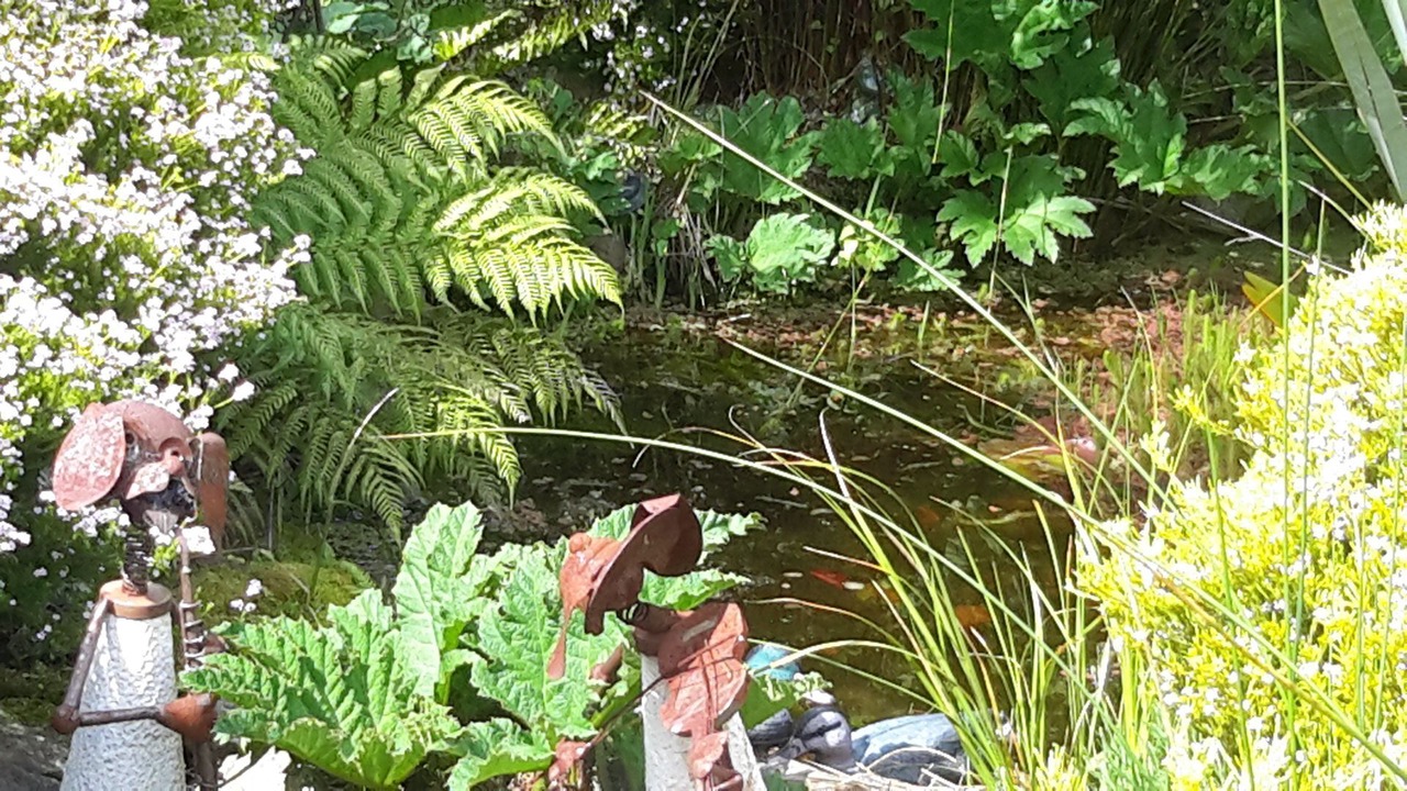 Photo of Outdoor in Lenah Valley
