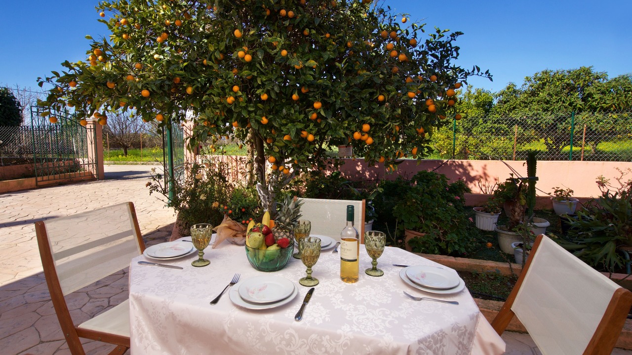 Photo of Outdoor in Minia