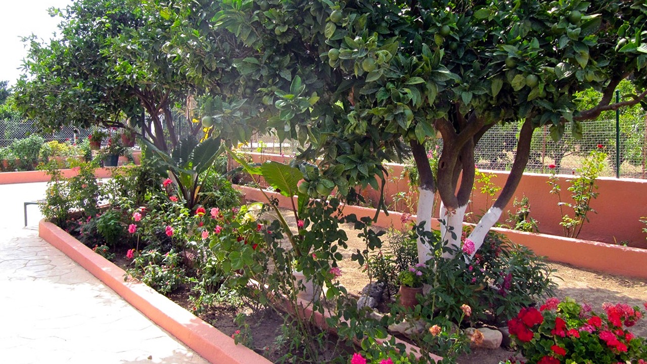 Photo of Outdoor in Minia