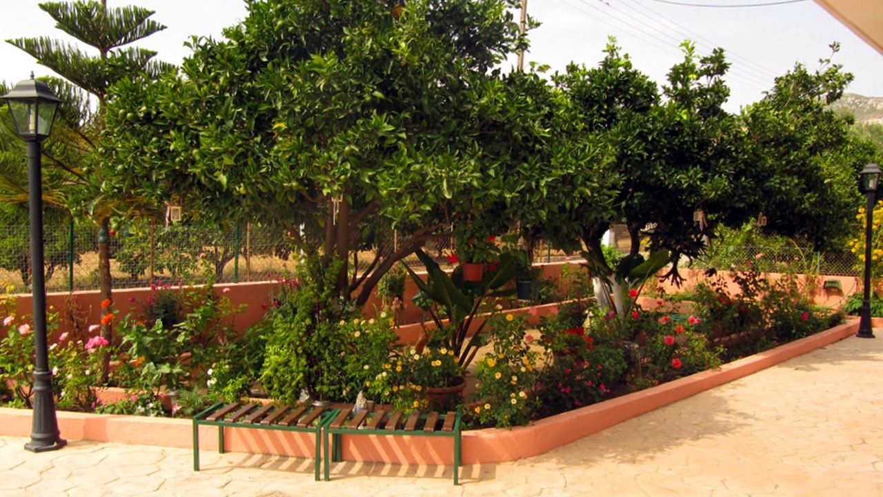 Photo of Outdoor in Minia