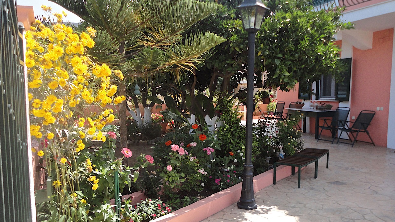 Photo of Outdoor in Minia