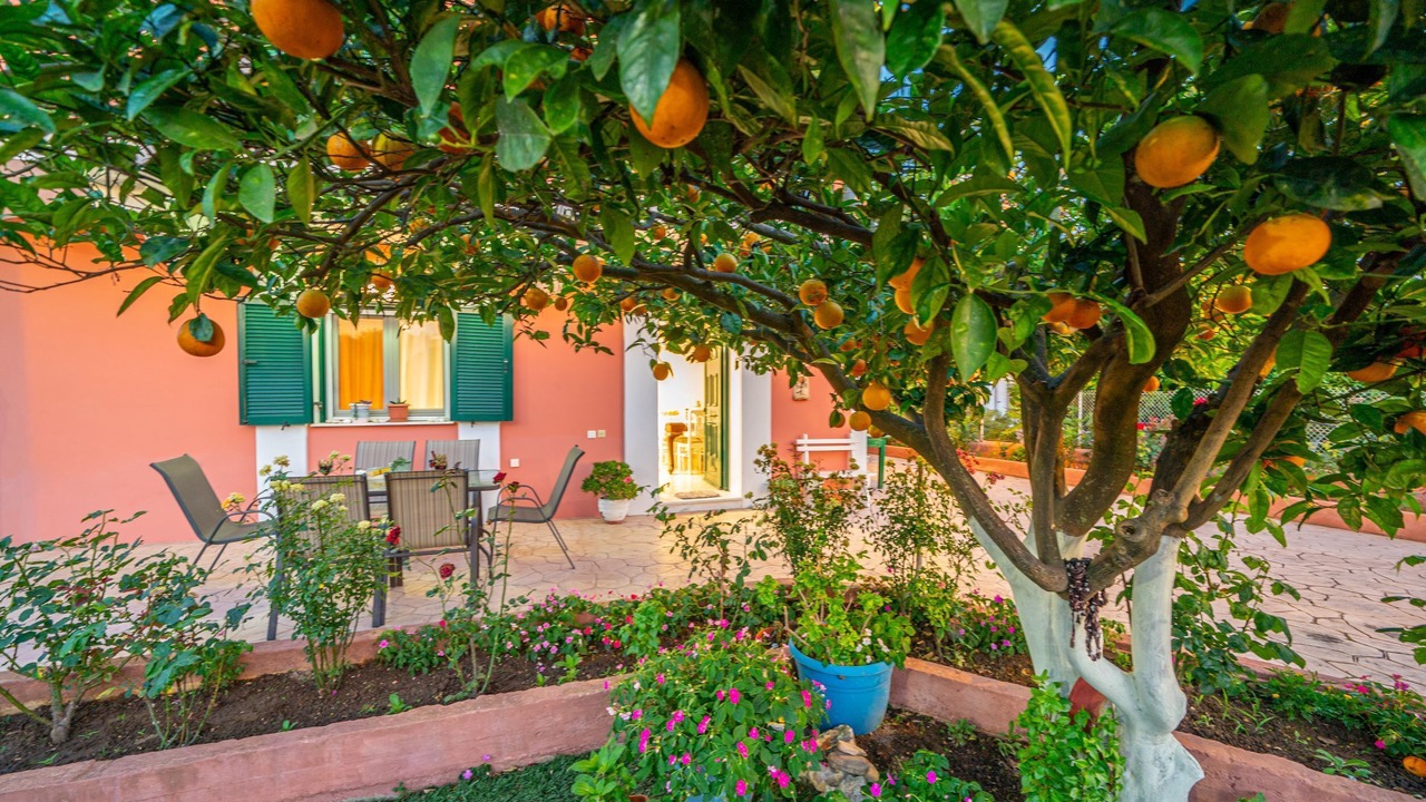 Photo of Patio Balcony in Minia