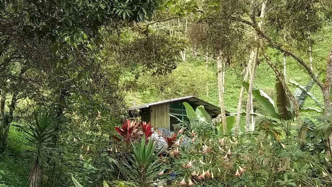 Photo of Outdoor in La Ese