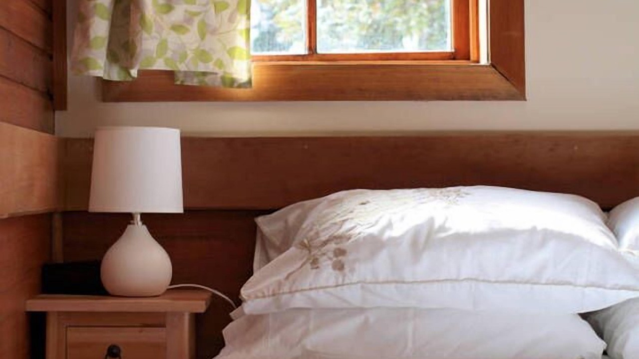 Photo of Bedroom in Flowerpot