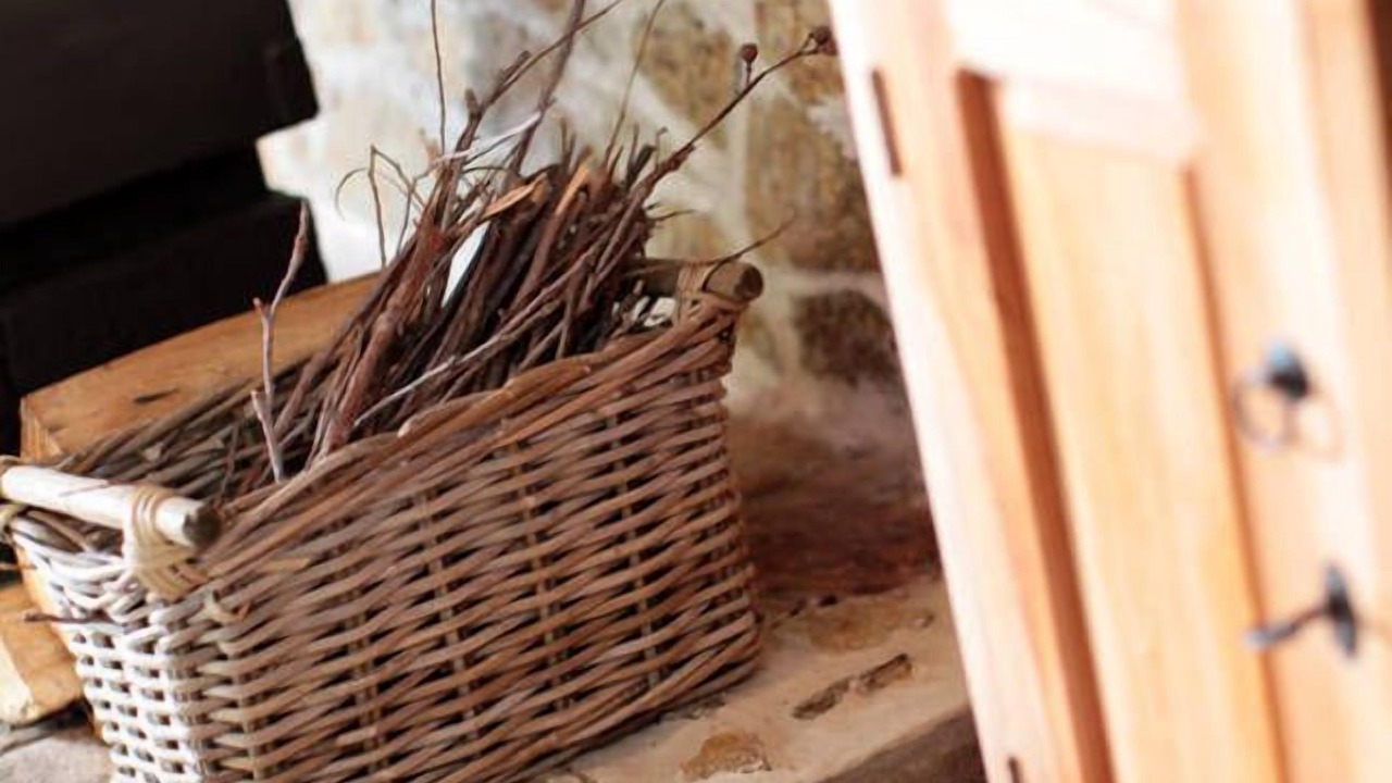 Photo of Others in Flowerpot