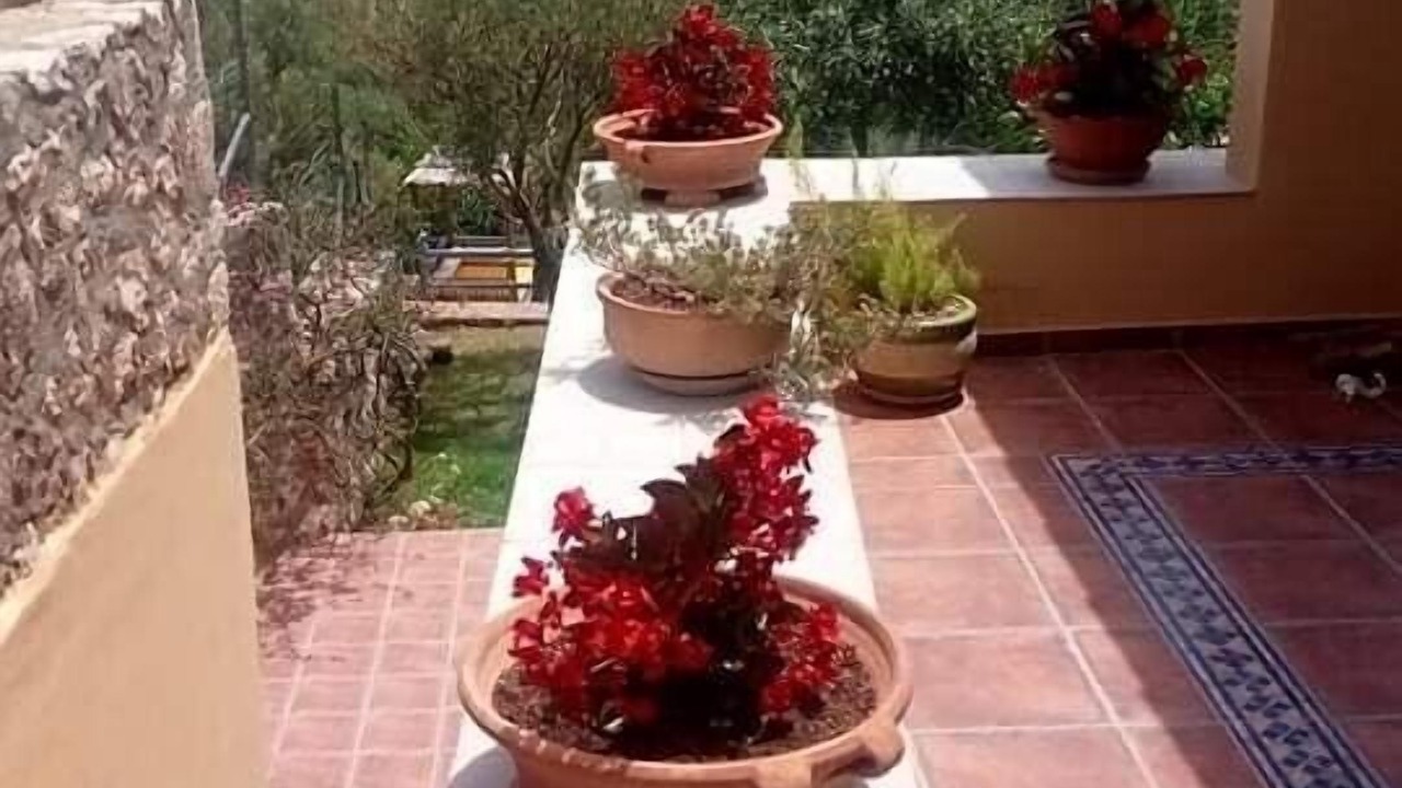 Photo of Outdoor in Argostoli