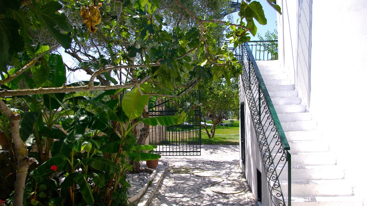 Photo of Outdoor in Neromilos