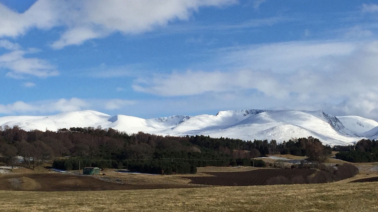 Photo of Others in Kingussie