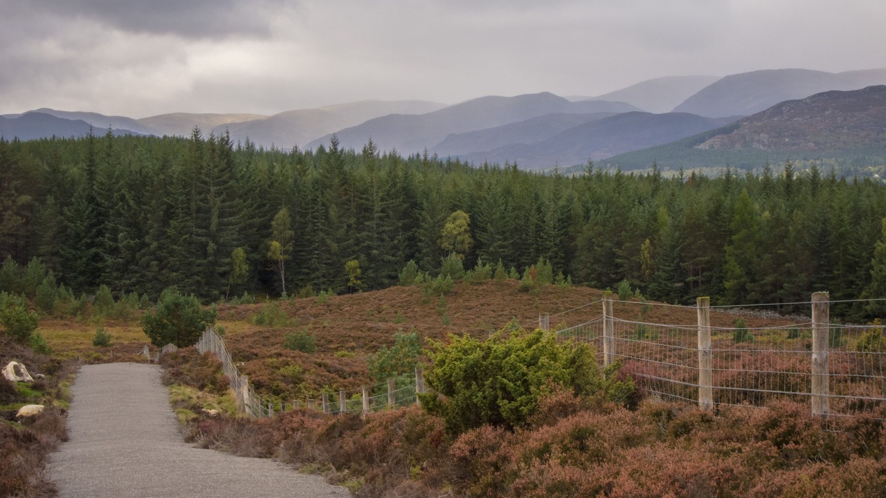 Photo of Others in Kingussie