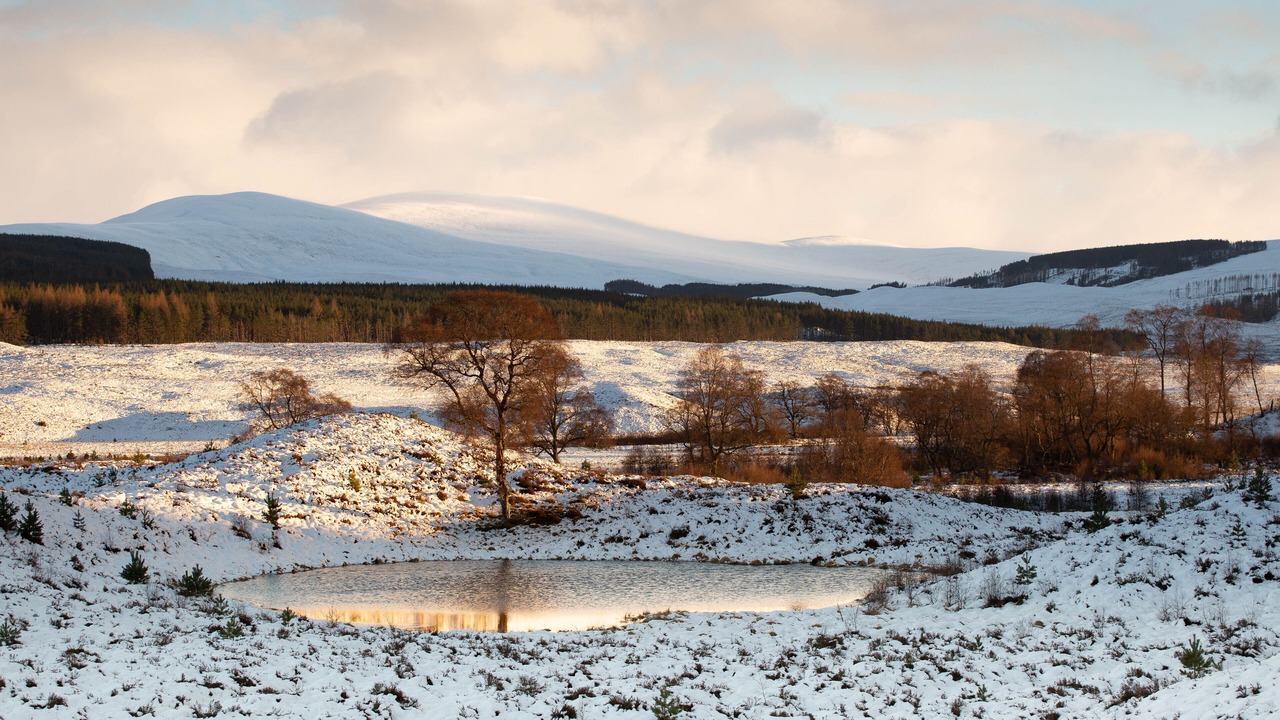 Photo of Others in Kingussie