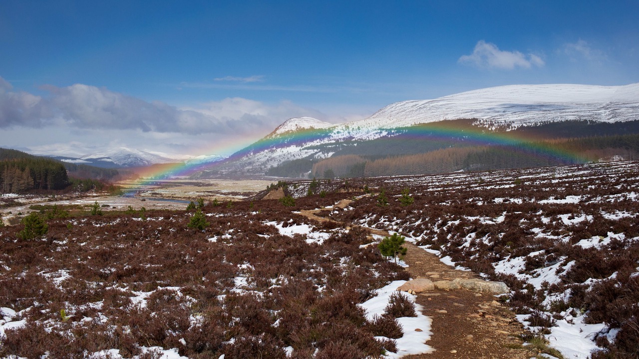 Photo of Others in Kingussie