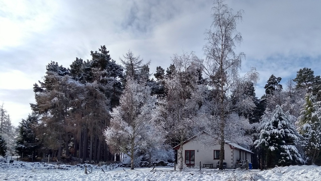 Photo of Others in Kingussie