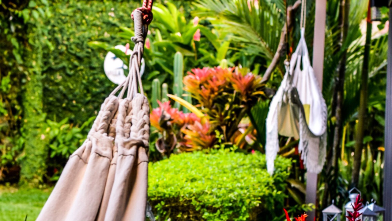 Photo of Outdoor in Puerto Viejo de Talamanca
