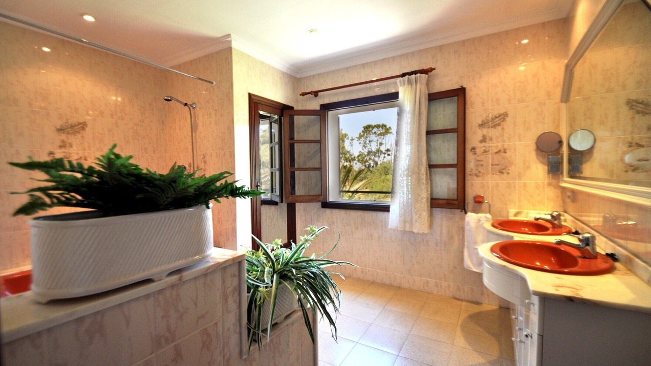 Photo of Others in l'Aranjassa