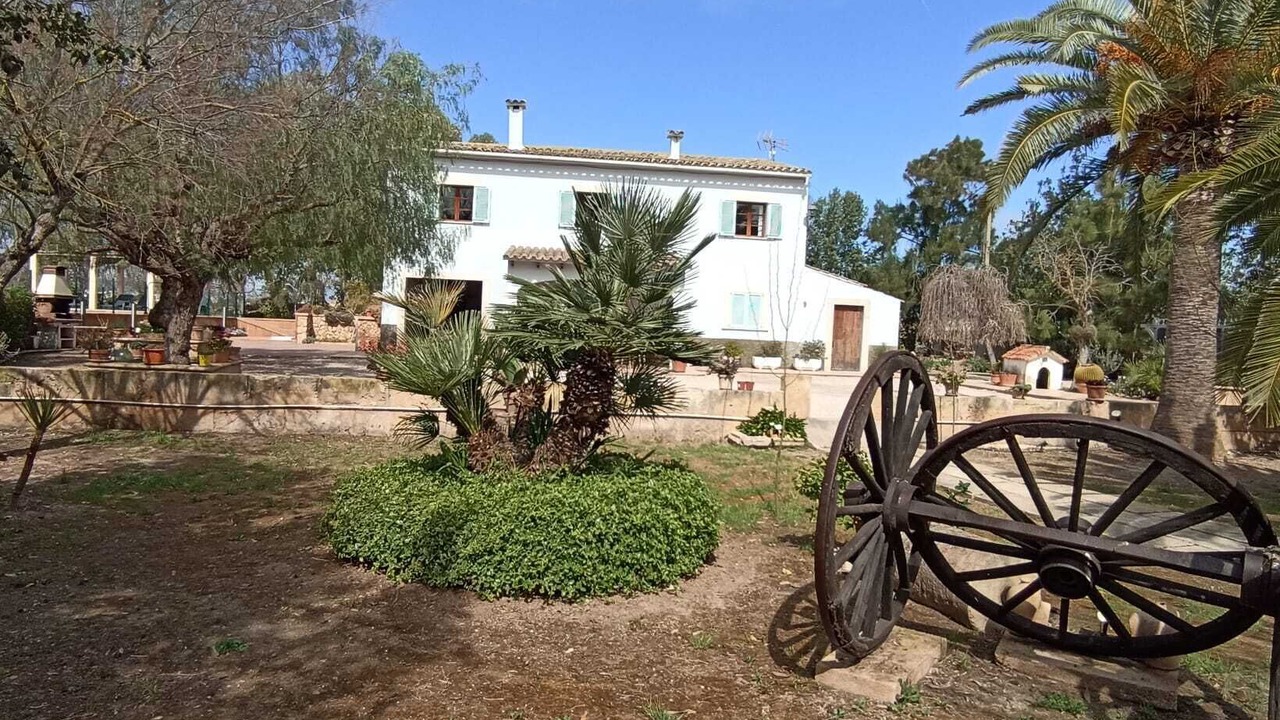 Photo of Others in l'Aranjassa