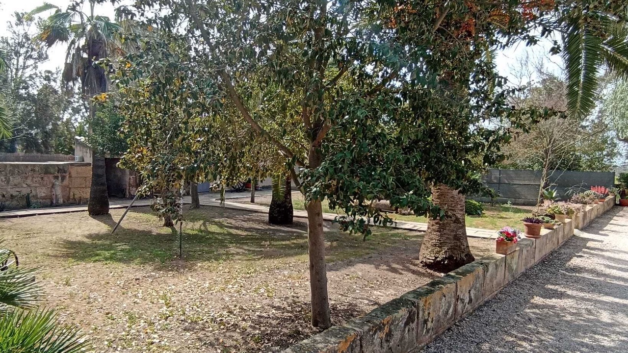 Photo of Others in l'Aranjassa