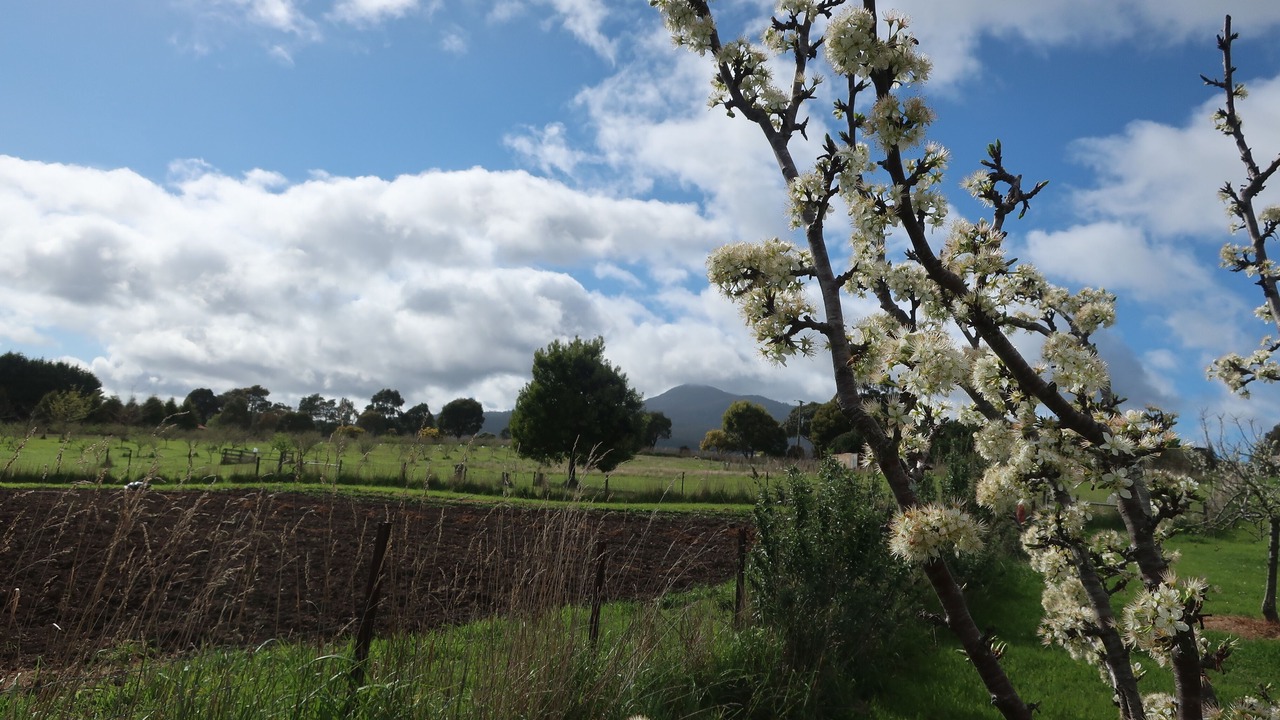 Photo of Outdoor in Lilydale