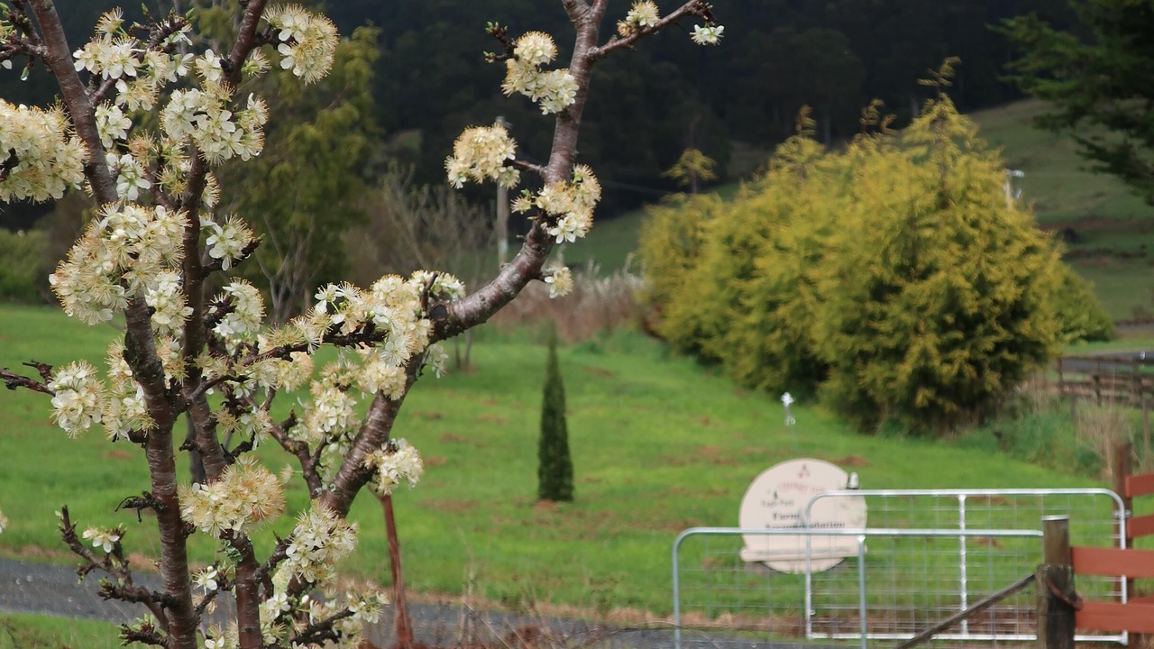 Photo of Others in Lilydale