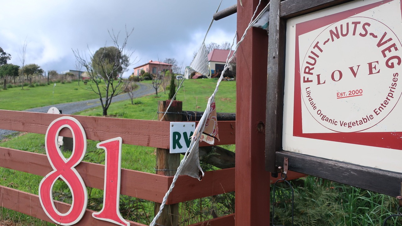 Photo of Others in Lilydale