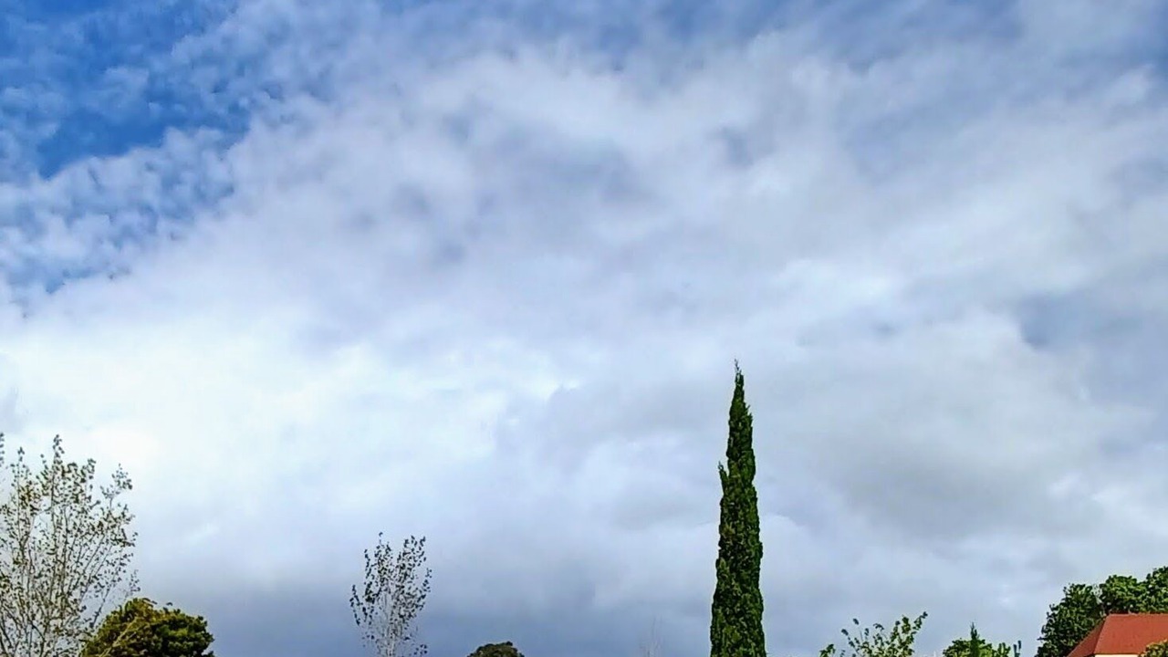 Photo of Outdoor in Lilydale