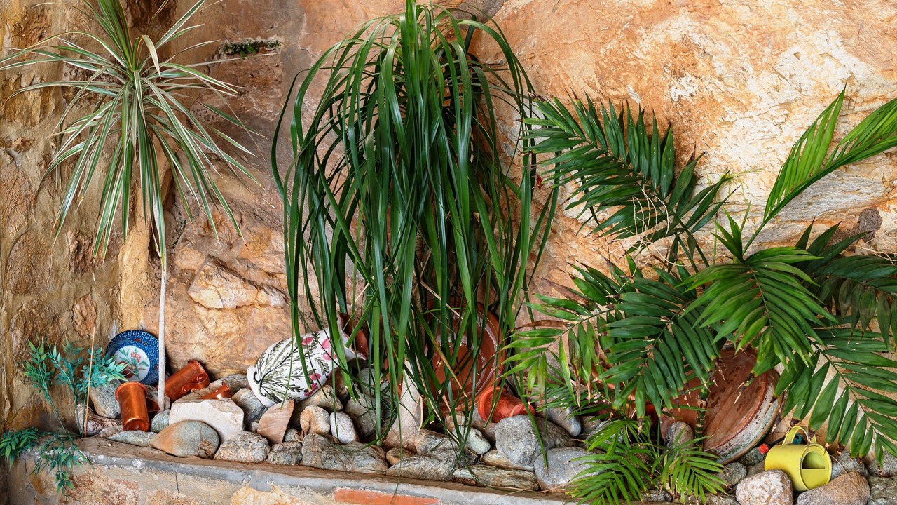 Photo of Outdoor in Saronikos