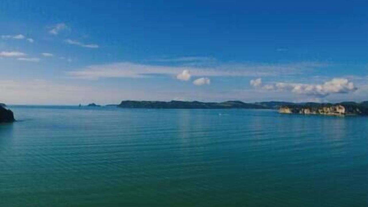 Photo of Others in Whitianga