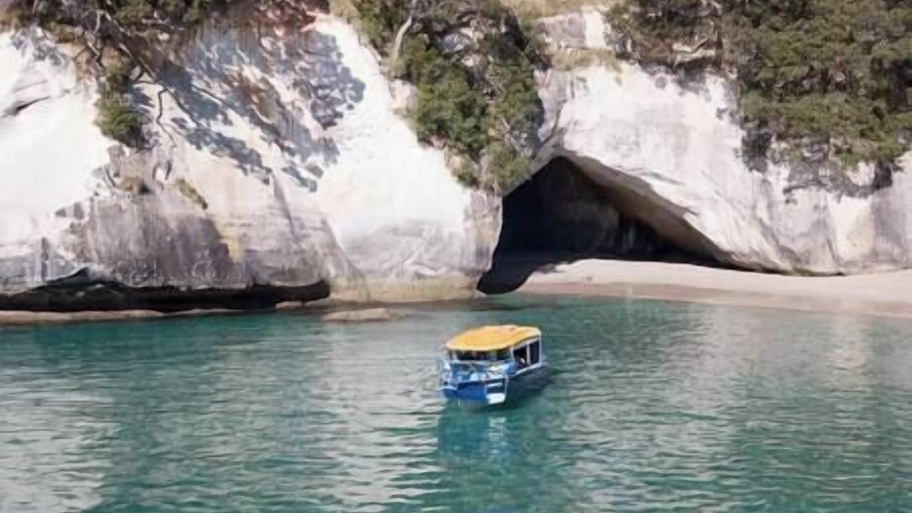 Photo of Others in Whitianga