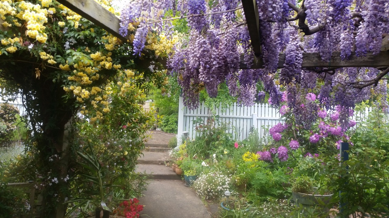 Photo of Outdoor in Cradoc