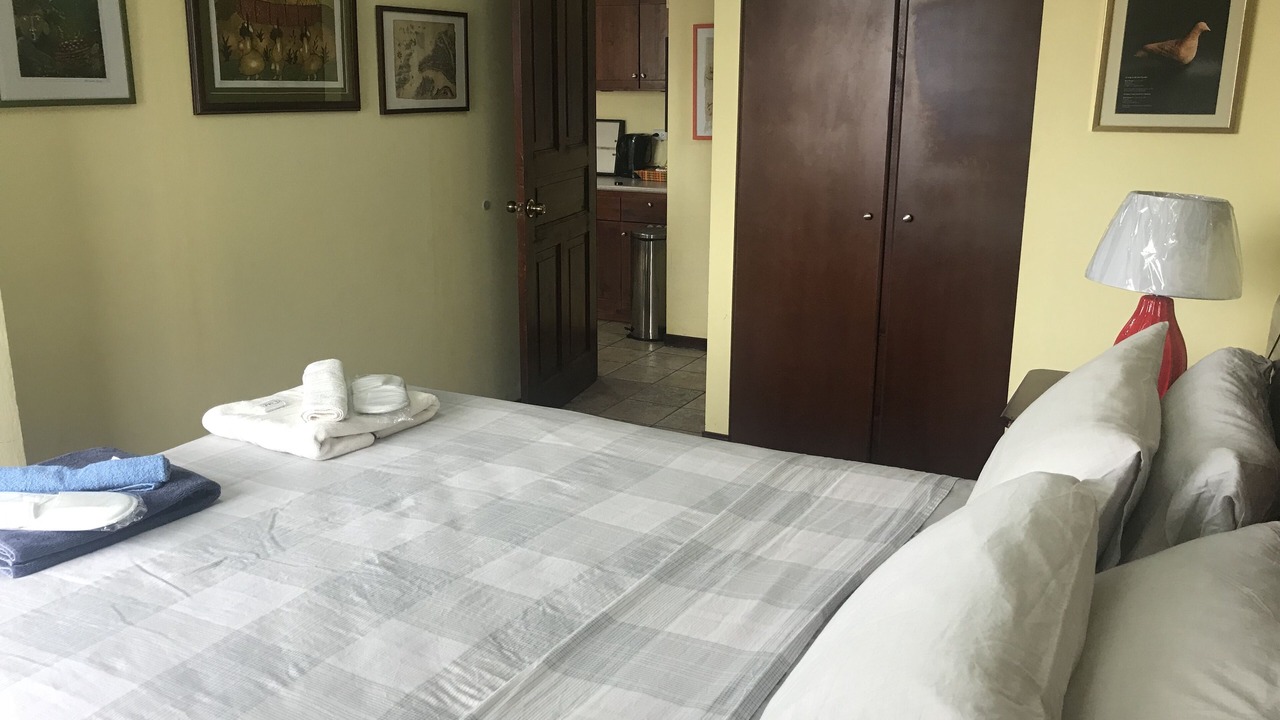 Photo of Bedroom in Barrio Escalante