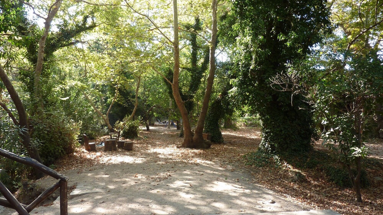 Photo of Others in Fodele