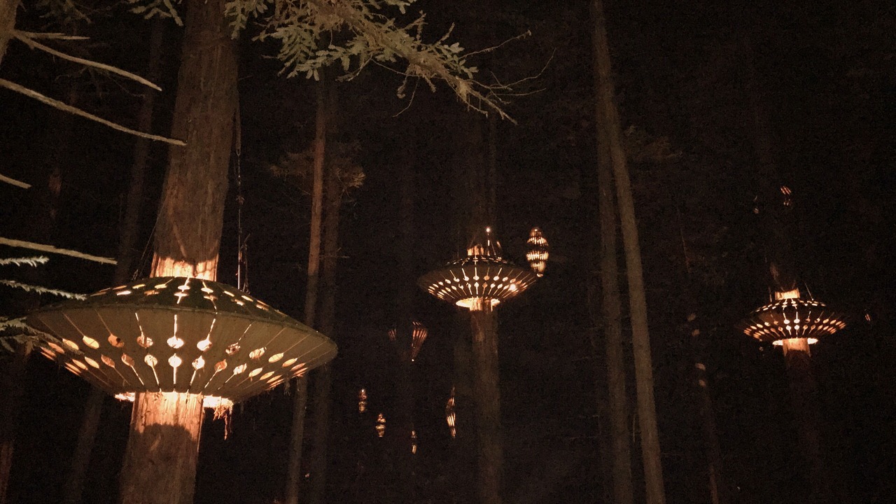 Photo of Outdoor in Lynmore