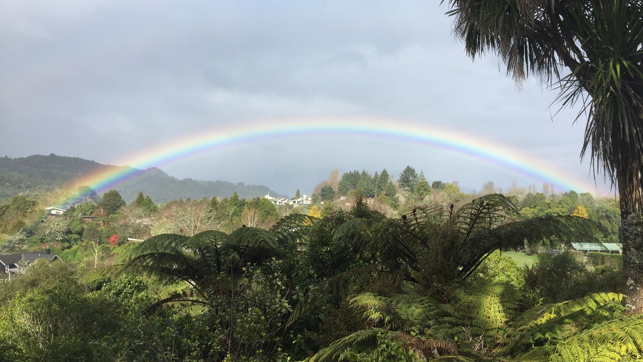 Photo of Outdoor in Lake Tarawera