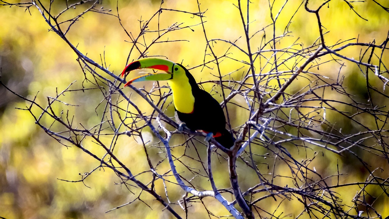 Photo of Others in Garabito