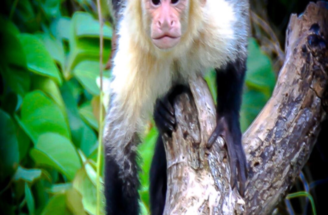 Photo of Others in Garabito