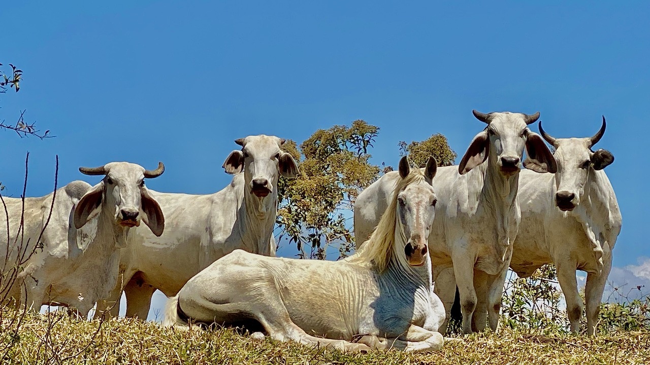 Photo of Others in Garabito