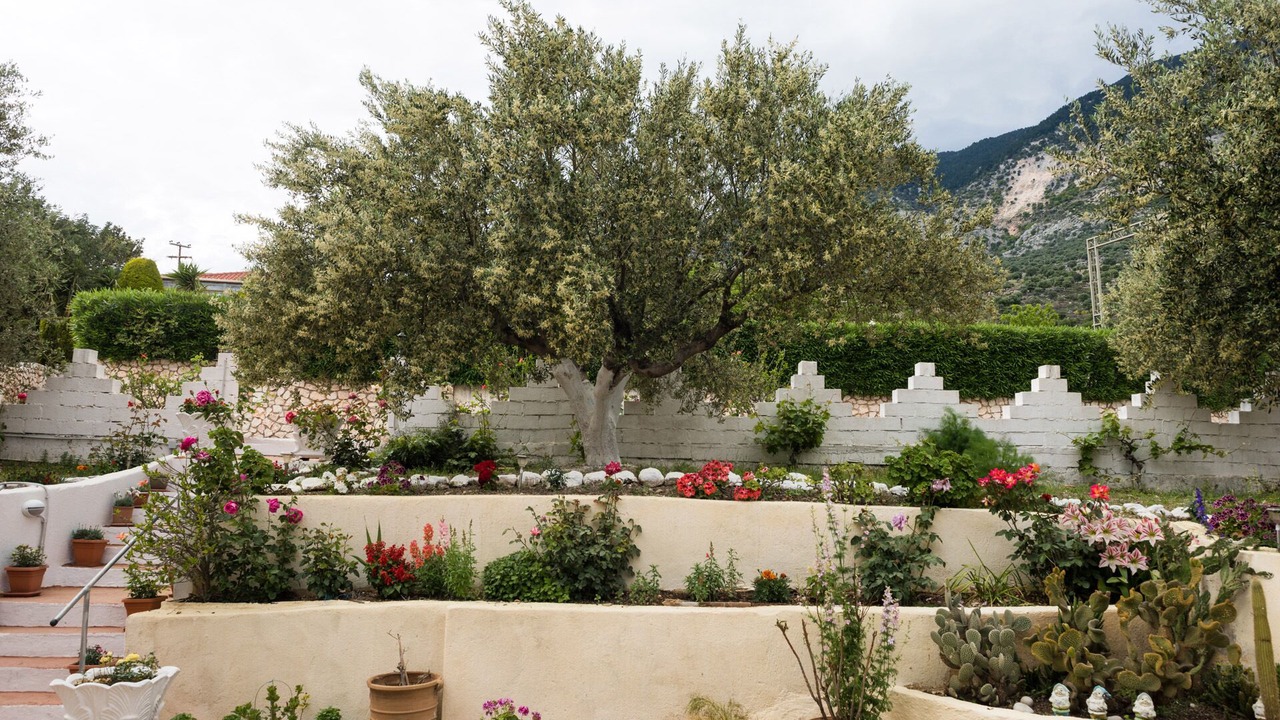 Photo of Outdoor in Mousata