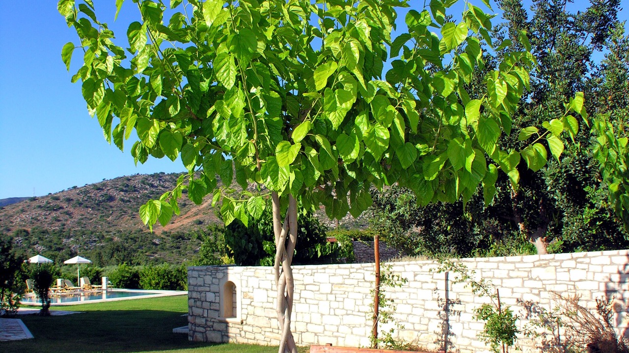 Photo of Outdoor in Melidoni