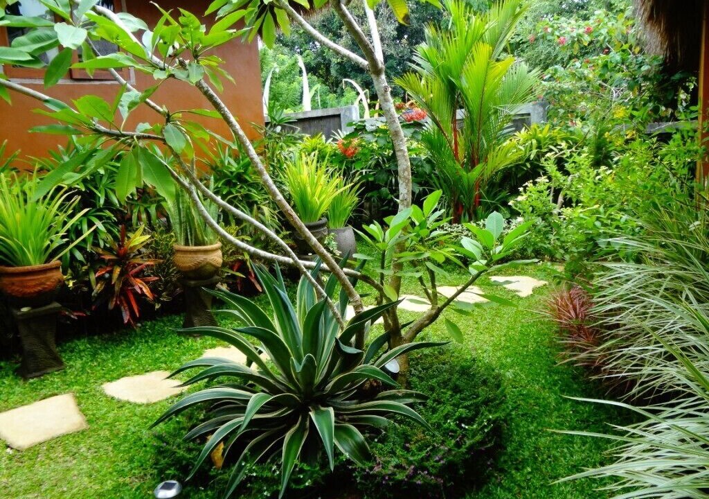 Photo of Outdoor in Kampial