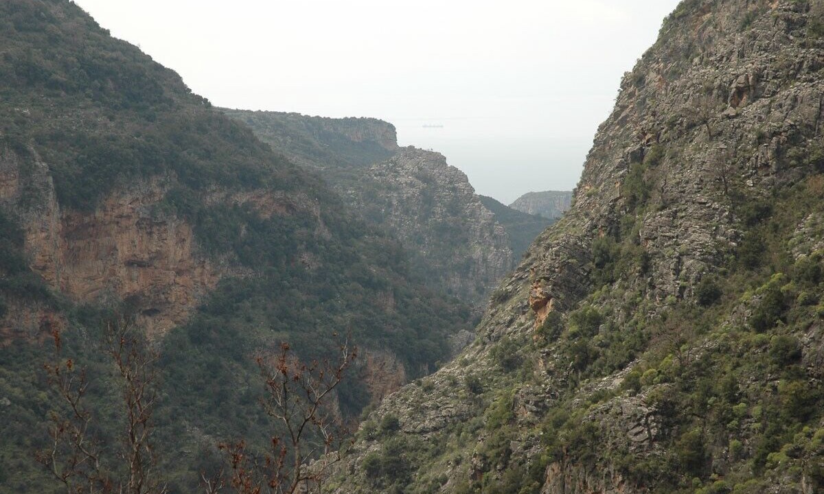 Photo of Others in Stoupa